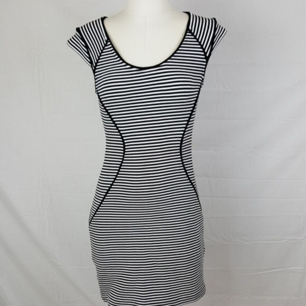 Express bodycon striped dress